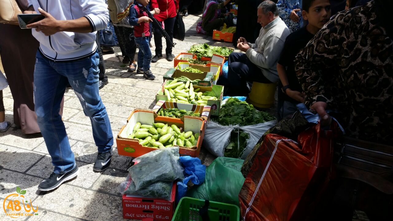 a7bab al aqsaa (7).jpg